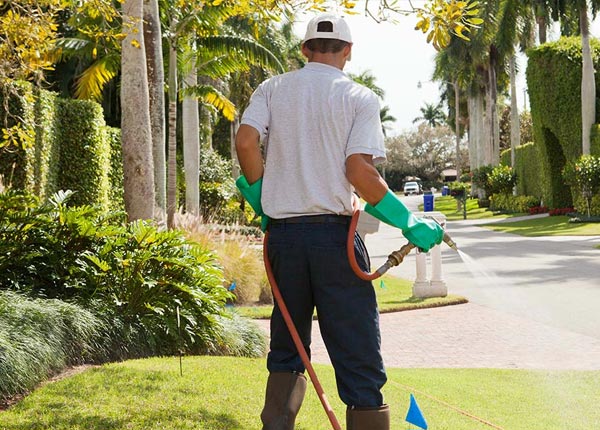 About Fort Hill PA Pest Control